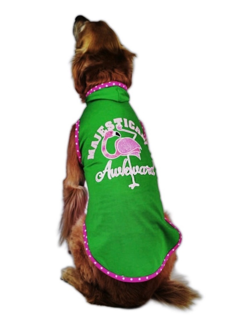 Vibrant Life Majestically Awkward Dog Hoodie - Picture 13 of 16